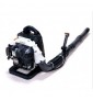 Souffleur Echo PB620 Souffleur Echo PB620