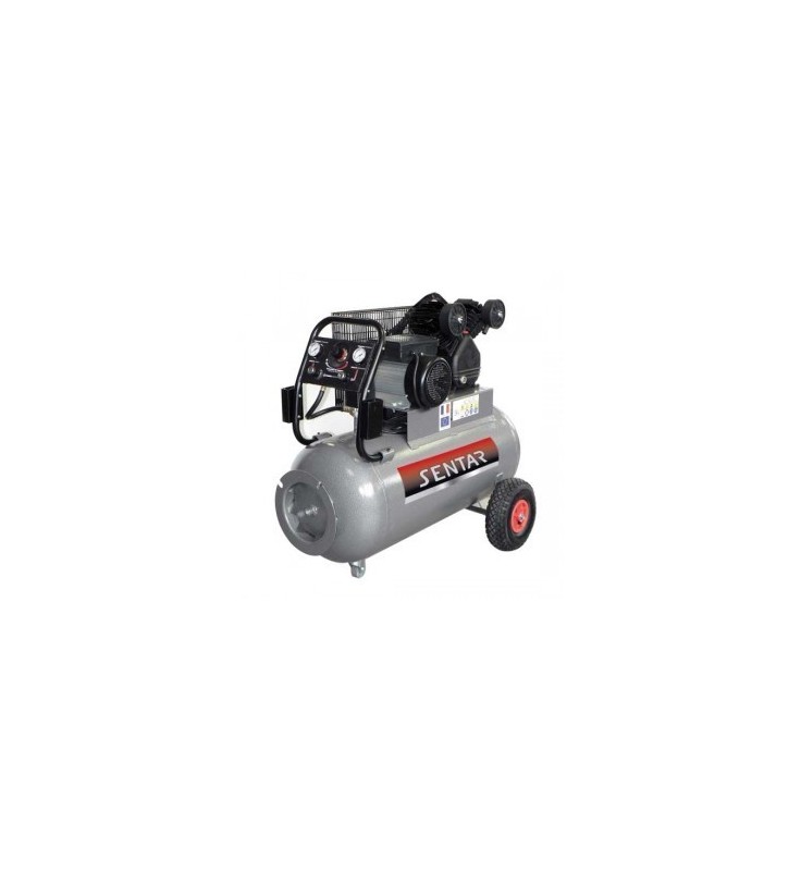 Compresseur Sentar TRE2210030G Compresseur Sentar TRE2210030G