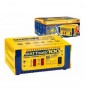 Chargeur Wattmatic 100 Chargeur Wattmatic 100