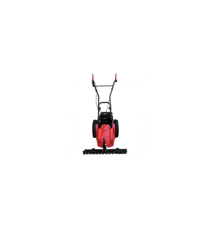 Faucheuse BENASSI F170B Faucheuse BENASSI F170B