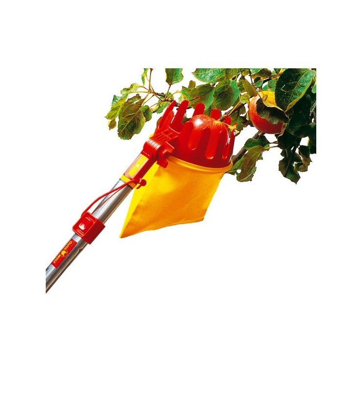 Cueille-fruits WOLF Multi-star SBM Cueille-fruits WOLF Multi-star SBM