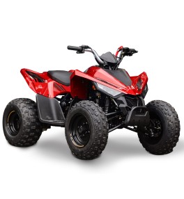 QUAD HY110X
