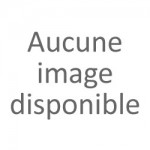 Pioches